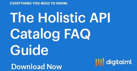 Holistic API Catalog FAQ Guide banner