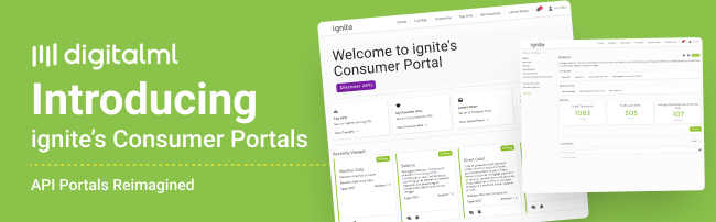 Banner for ignite API consumer portal