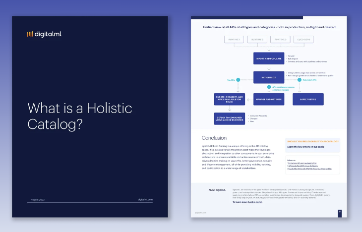 Content banner for ignite's Holistic API Catalog whitepaper showing first 2 pages